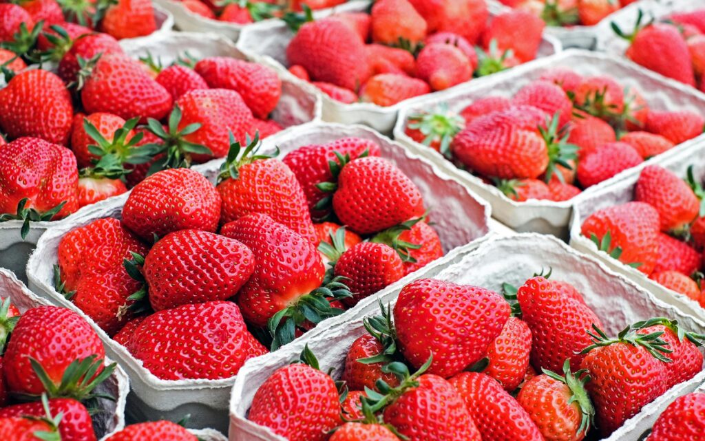 Vibrant red strawberries arranged in cartons showcasing freshness.